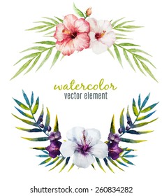 vector, watercolor, flowers, element, frame, hibiscus, palm