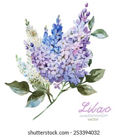 vector, watercolor, flowers, lilacs, spring, bouquet