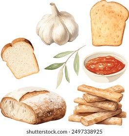 Vector Watercolor food, clipart, ingredients. Spices, bread slice, garlic, bread, crisp bread, olive branch, tomato sauce. Illustrations for creative cooking, invitation, greeting cards, birthday.