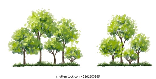 Vector watercolor forest or tree side view isolated on white background for landscape and architecture drawing, elements for environment and garden,botanical elements