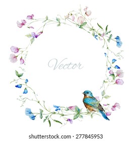 vector watercolor frame with sweet peas with bird