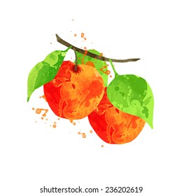 vector watercolor fruit apple branch