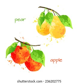 vector watercolor fruit apple and pear branch