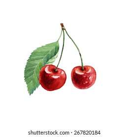 vector watercolor fruit cherry on white background