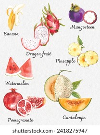 Vector with watercolor fruit collection set