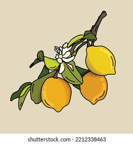 vector watercolor fruit lemon branch on beige background