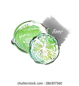 Vector watercolor fruit lime
