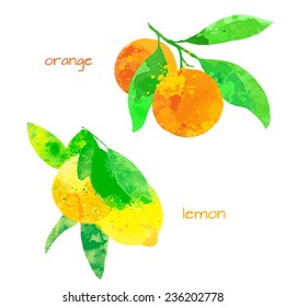 vector watercolor fruit orange and lemon branch