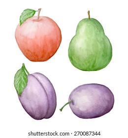 Vector watercolor fruit set. Apple, pear, plum. 