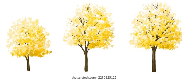 Vector watercolor ginkgo tree side view isolated on white background for landscape and architecture drawing, elements for environment and garden,botanical elements for section in spring 