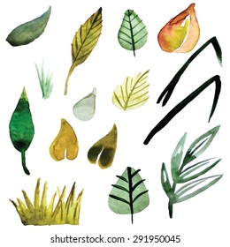 vector watercolor grass