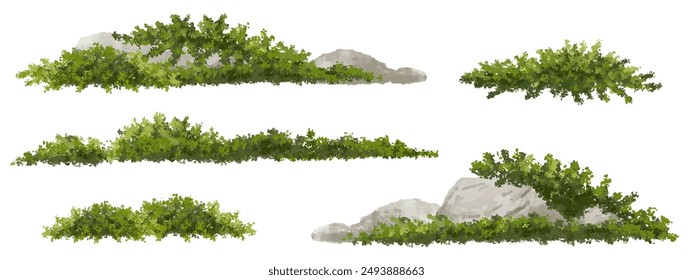 Vector watercolor of grass with rock for landscape and architecture drawing, elements for environment and garden, painting botanical for section,meadows or moss,green area