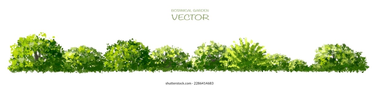 Vector watercolor of green grass side view isolated on white background for landscape and architecture drawing, elements for environment and garden, painting botanical for exterior section,elevation