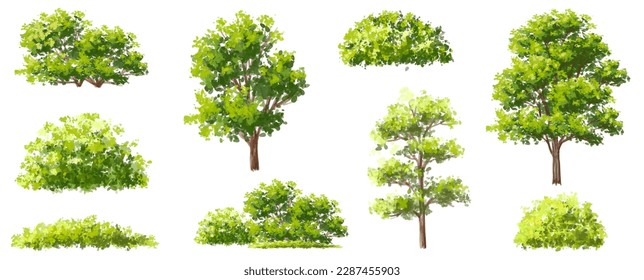 Acuarela vectorial de la vista verde de la hierba aislada en el fondo blanco para el paisaje y el dibujo arquitectónico, elementos para el medio ambiente y el jardín, pintura botánica para la sección exterior, elevación