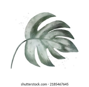 vector watercolor green leave, branch isolated on white background, exotic flower poster