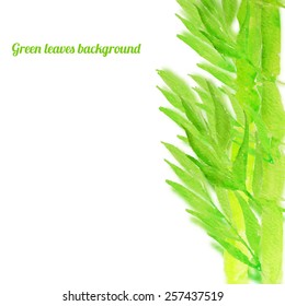 Vector watercolor green tree background with  leaves. Artistic vector design for banners, greeting cards, spring sales