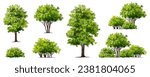 Vector watercolor green tree or forest side view isolated on white background for landscape and architecture drawing,elements for environment or garden,botanical element for exterior section in spring