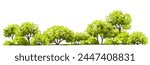 Vector watercolor green tree or forest side view isolated on white background for landscape and architecture drawing,elements for environment or garden,botanical element for exterior section in spring