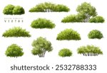  Vector watercolor green  tree or forest side view isolated on white background for landscape and architecture drawing,elements for environment or and garden,Shrub for section