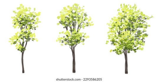 Vector acuarela verde árbol o vista lateral del bosque aislado en fondo blanco para el paisaje y el dibujo arquitectónico, elementos para el medio ambiente o el jardín, elemento botánico para la sección exterior