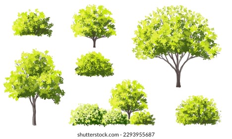 Vector watercolor green tree or forest side view isolated on white background for landscape and architecture drawing,elements for environment or and garden,botanical element for exterior section