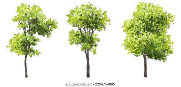 Vector watercolor green tree or forest side view isolated on white background for landscape and architecture drawing,elements for environment or and garden,botanical element for exterior section