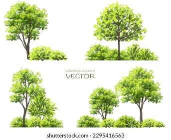 Image vectorielle vue à l'aquarelle, arbre vert ou vue latérale sur la forêt isolé sur fond blanc pour le dessin du paysage et de l'architecture, éléments pour l'environnement ou et le jardin, élément botanique pour section extérieure