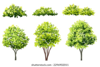 Vector watercolor green tree or forest side view isolated on white background for landscape and architecture drawing,elements for environment or garden,botanical element for exterior section in spring