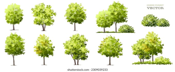 Vector watercolor green tree or forest side view isolated on white background for landscape and architecture drawing,elements for environment or garden,botanical element for exterior section in spring