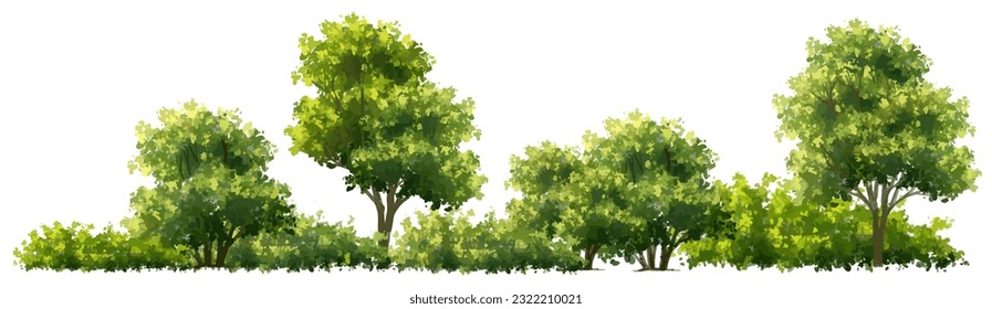 Vector watercolor green tree or forest side view isolated on white background for landscape and architecture drawing,elements for environment or garden,botanical element for exterior section in spring