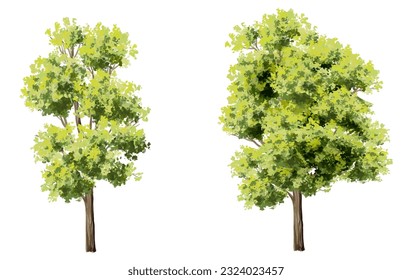 Vector watercolor green tree or forest side view isolated on white background for landscape and architecture drawing,elements for environment or garden,botanical element for exterior section in spring