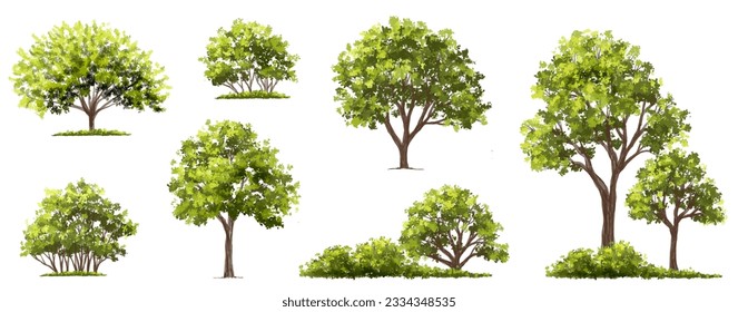 Vector watercolor green tree or forest side view isolated on white background for landscape and architecture drawing,elements for environment or garden,botanical element for exterior section in spring