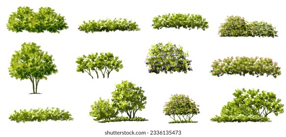 Vector acuarela verde árbol o vista lateral del bosque aislado en fondo blanco para el dibujo de paisaje y arquitectura, elementos para el medio ambiente o jardín, elemento botánico para la sección exterior en primavera