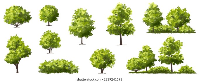 Vector watercolor green tree or forest side view isolated on white background for landscape and architecture drawing,elements for environment or garden,botanical element for exterior section in spring