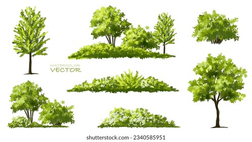 Vector watercolor green tree or forest side view isolated on white background for landscape and architecture drawing,elements for environment or garden,botanical element for exterior section in spring