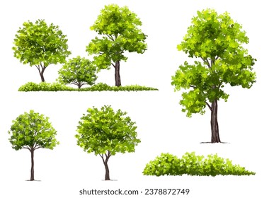 Vector acuarela verde árbol o vista lateral del bosque aislado en fondo blanco para el dibujo de paisaje y arquitectura, elementos para el medio ambiente o jardín, elemento botánico para la sección exterior en primavera