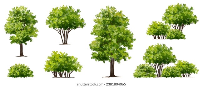 Vector watercolor green tree or forest side view isolated on white background for landscape and architecture drawing,elements for environment or garden,botanical element for exterior section in spring