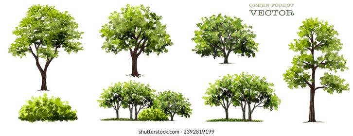 Vector watercolor green tree or forest side view isolated on white background for landscape and architecture drawing,elements for environment or garden,botanical element for exterior section in spring