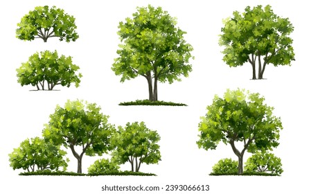 Vector watercolor green tree or forest side view isolated on white background for landscape and architecture drawing,elements for environment or garden,botanical element for exterior section in spring