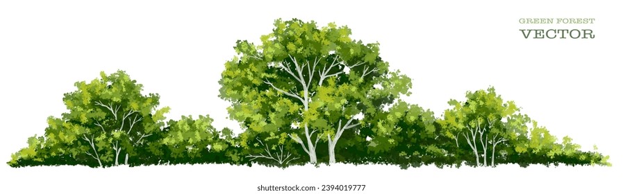 Vector acuarela verde árbol o vista lateral del bosque aislado en fondo blanco para el dibujo de paisaje y arquitectura, elementos para el medio ambiente o jardín, elemento botánico para la sección exterior en primavera