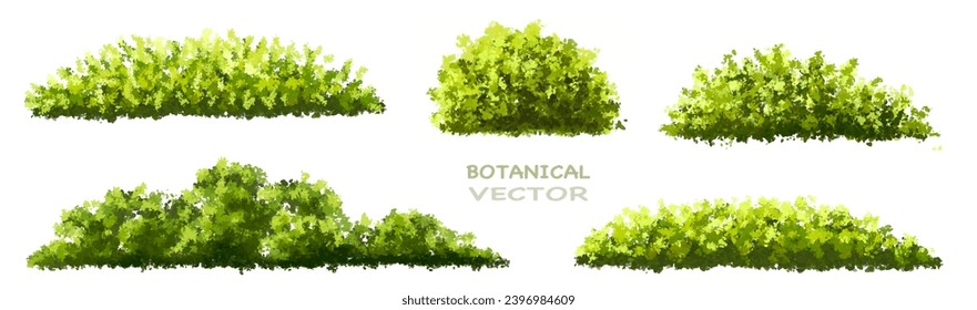 Vector watercolor green tree or forest side view isolated on white background for landscape and architecture drawing,elements for environment or garden,botanical element for exterior section in spring