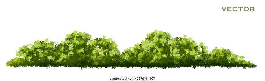 Vector acuarela verde árbol o vista lateral del bosque aislado en fondo blanco para el dibujo de paisaje y arquitectura, elementos para el medio ambiente o jardín, elemento botánico para la sección exterior en primavera