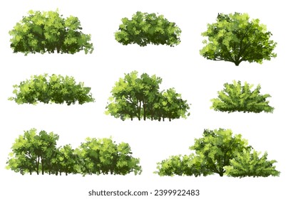 Vector watercolor green tree or forest side view isolated on white background for landscape and architecture drawing,elements for environment or garden,botanical element for exterior section in spring