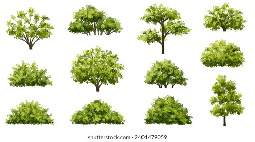 Vector watercolor green tree or forest side view isolated on white background for landscape and architecture drawing,elements for environment or garden,botanical element for exterior section in spring