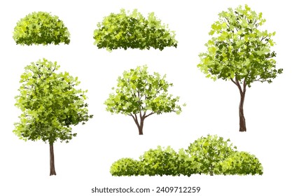 Vector watercolor green tree or forest side view isolated on white background for landscape and architecture drawing,elements for environment or garden,botanical element for exterior section in spring