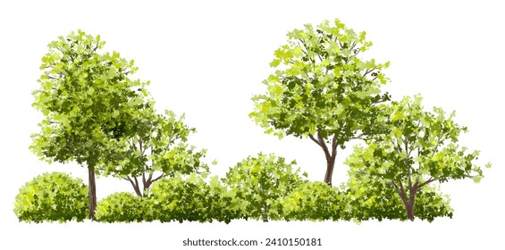Vector watercolor green tree or forest side view isolated on white background for landscape and architecture drawing,elements for environment or garden,botanical element for exterior section in spring