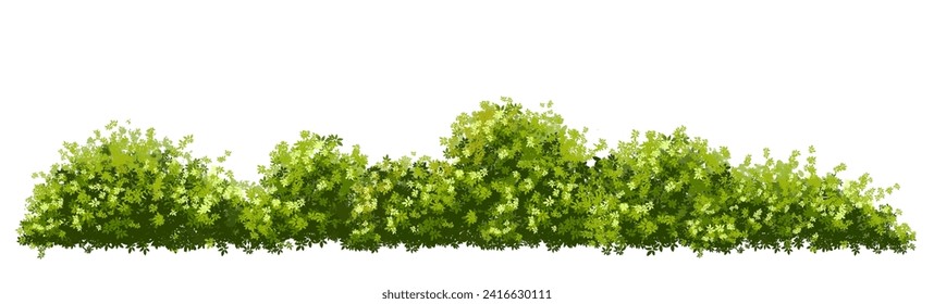 Vector watercolor green tree or forest side view isolated on white background for landscape and architecture drawing,elements for environment or garden,botanical element for exterior section in spring