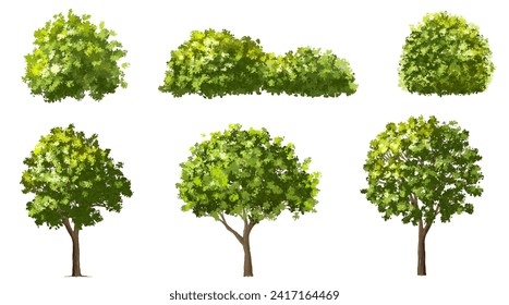 Vector watercolor green tree or forest side view isolated on white background for landscape and architecture drawing,elements for environment or garden,botanical element for exterior section in spring