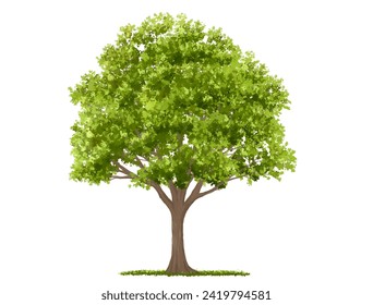 Vector watercolor green tree or forest side view isolated on white background for landscape and architecture drawing,elements for environment or garden,botanical element for exterior section in spring