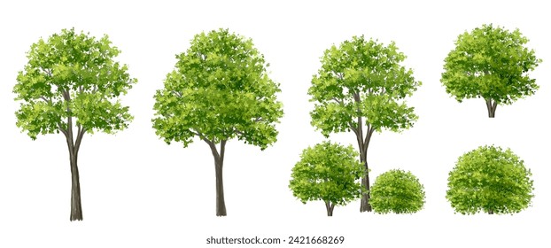 Vector watercolor green tree or forest side view isolated on white background for landscape and architecture drawing,elements for environment or garden,botanical element for exterior section in spring